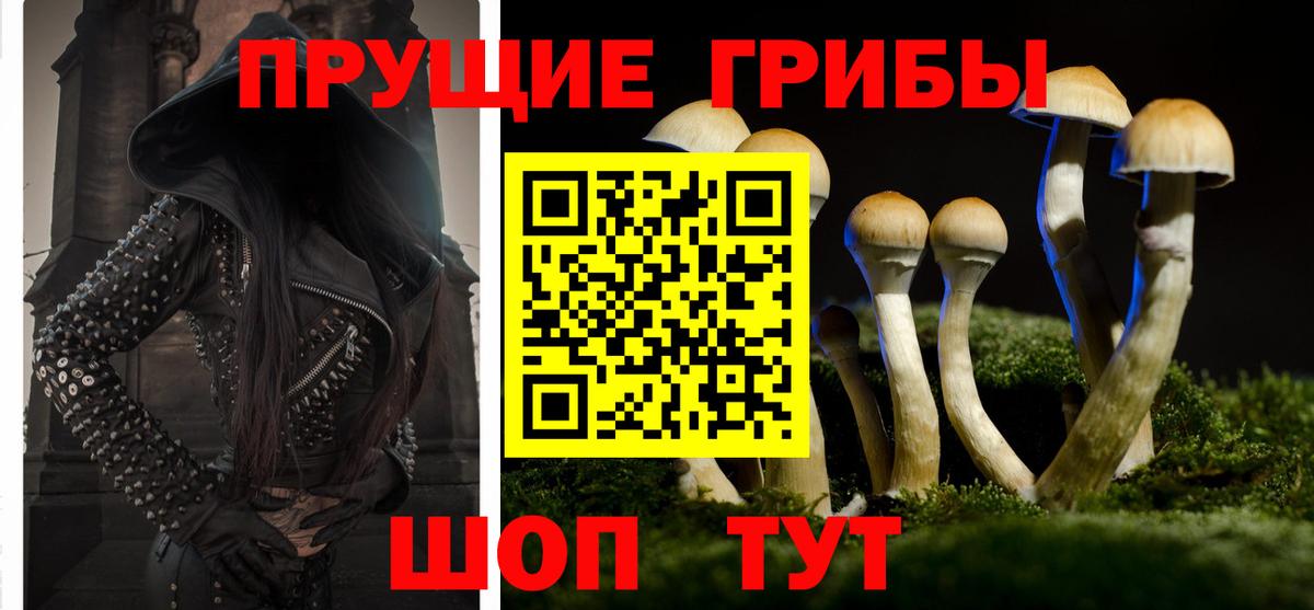 Псилоцибиновые грибы GOLDEN TEACHER Зеленокумск
