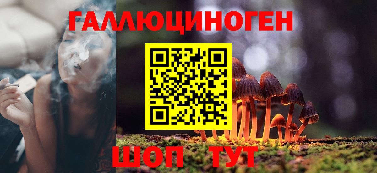 Псилоцибиновые грибы MAGIC MUSHROOMS  Вход с VPN  Зеленокумск 